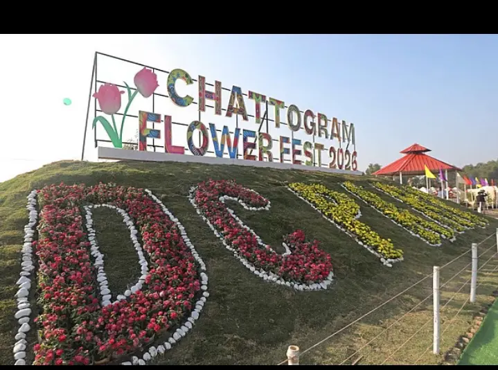 ডিসি পার্ক