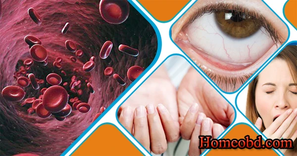 এনিমিয়া (রক্তহীনতায়)