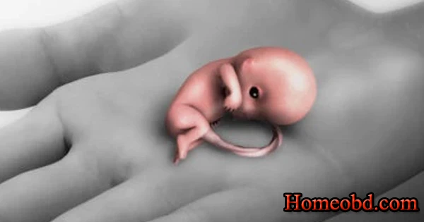 গর্ভপাত