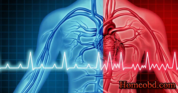 হার্ট পালপিটেশন