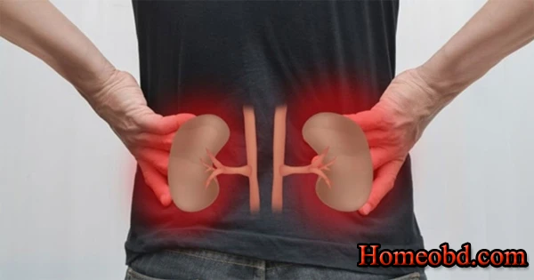 কিডনির সমস্যা