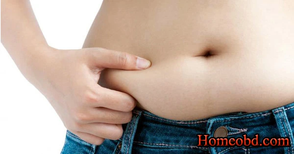 মেদ বাড়াইতে