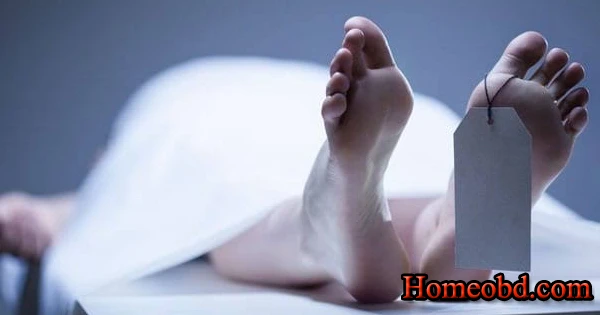 মৃত বৎসা প্রসব