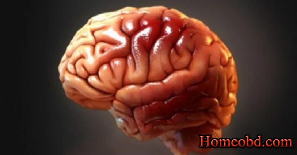 মস্তিষ্ক  সমস্যায়