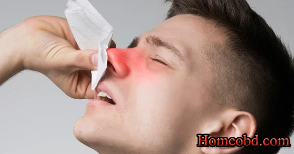 নাসিকার ক্ষত