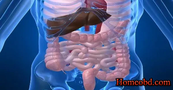 অন্ননালীর সংকোচন