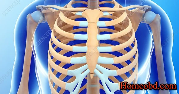 অস্হিনাশ ( হাঁড়পচন)