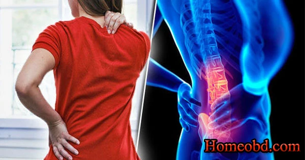 পৃষ্ঠ বেদনা