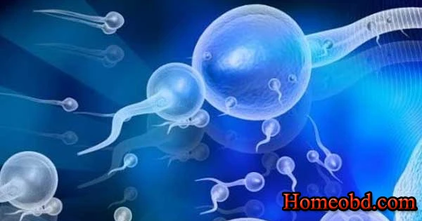 শুক্রতারল্য